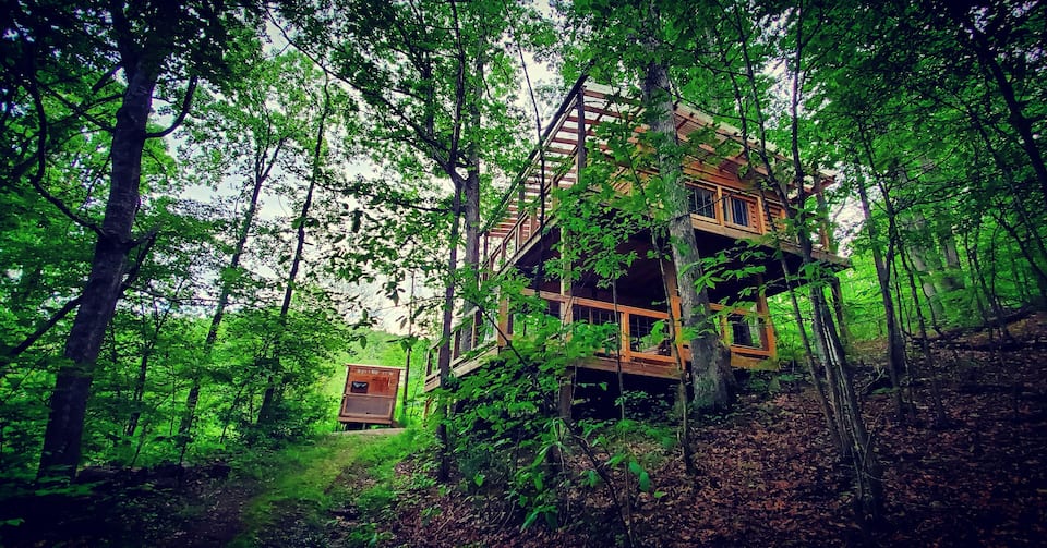 02 - Treetop Flyer