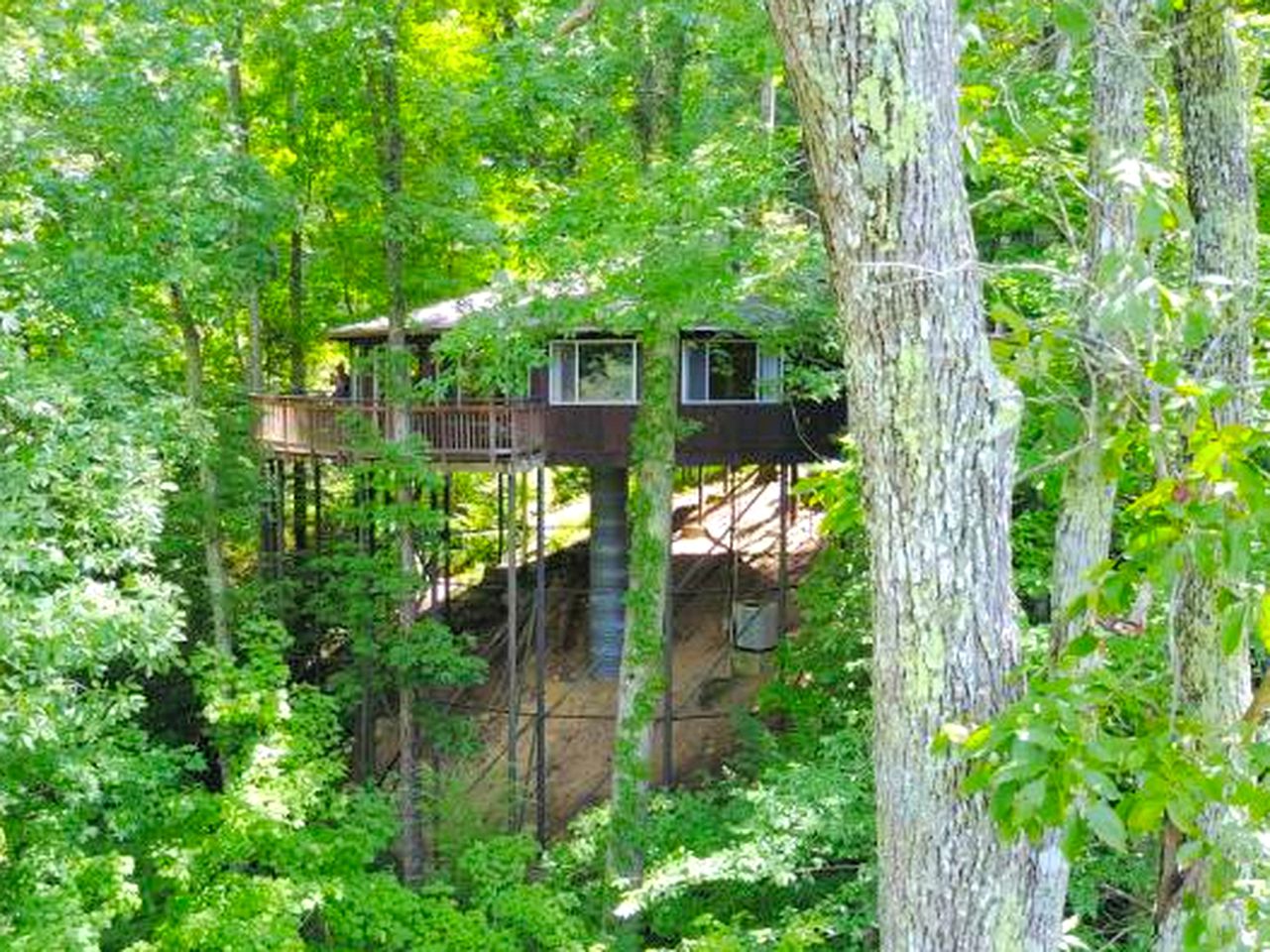 Amazing Tree House Rental near Cumberland Falls State Park, Kentucky