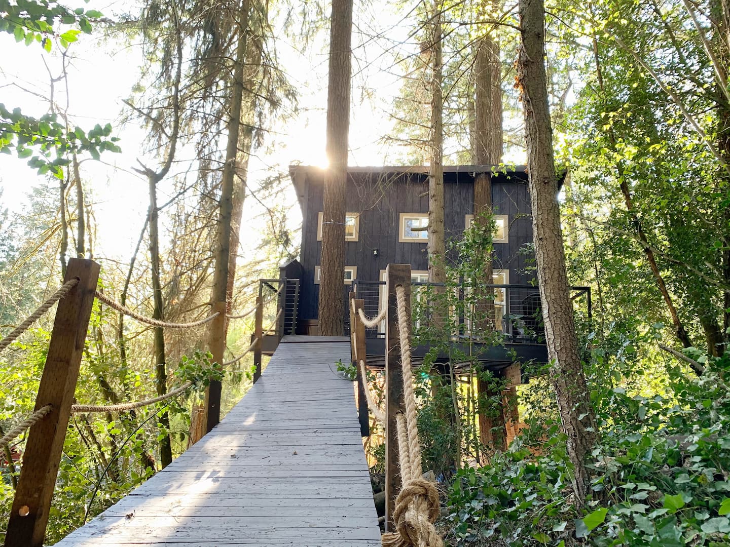Eagles Nest Tree House Oregon AirbnbEagles Nest Tree House Oregon Airbnb