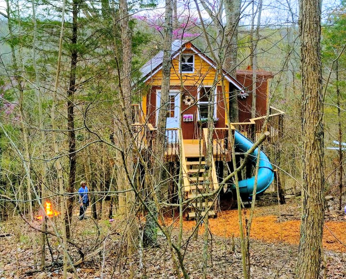Enchanting Tree House with a Slide on 200 Acres for a Family Adventure in Germantown, Kentucky