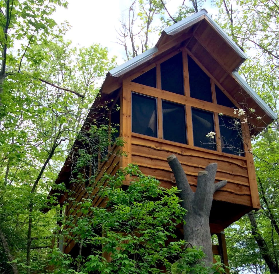 Top 28 Treehouse Rentals In Tennessee For Unique Cabin Breaks