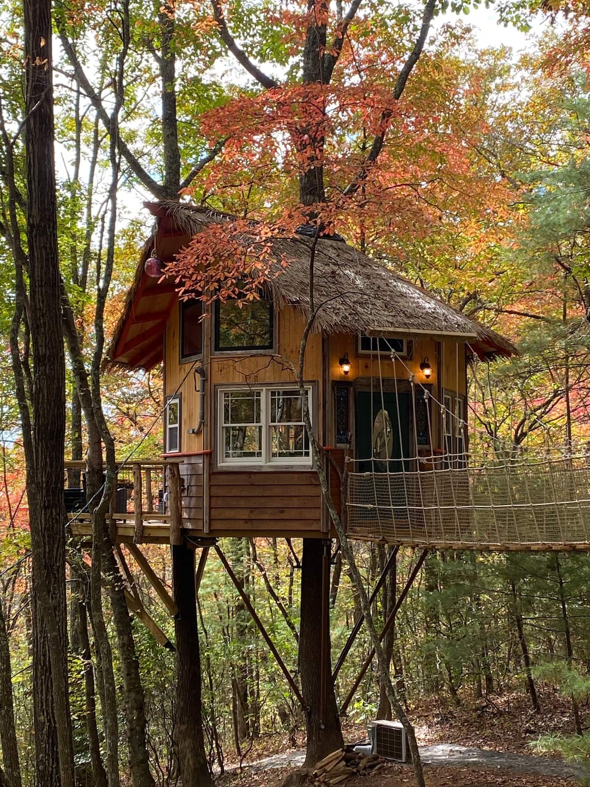 La Paz at Treehouse Mountain