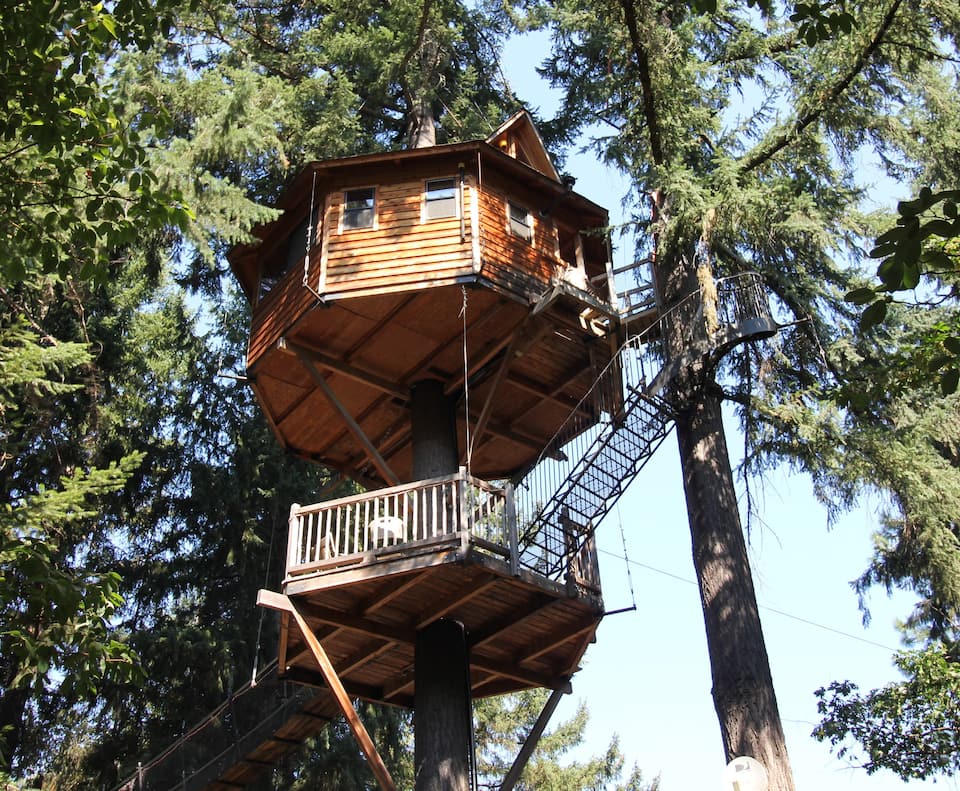 Majestree @ Out 'n' About Treehouse Treesort