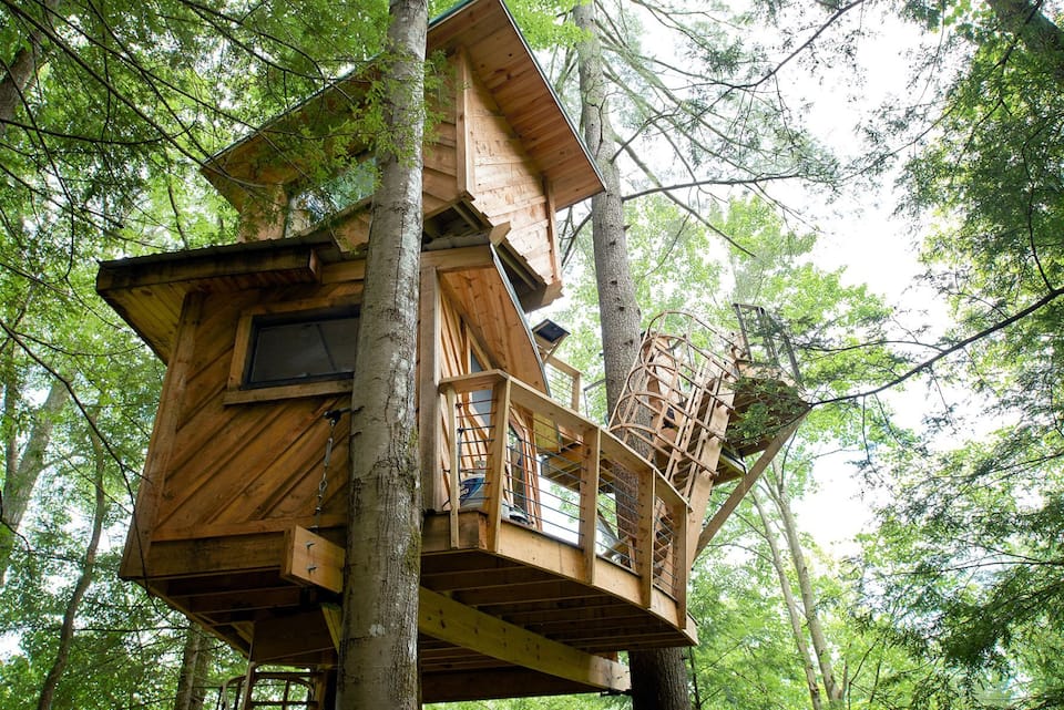 Observatory Tree House