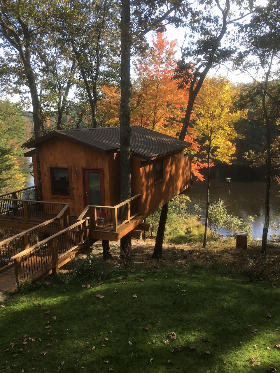 Serenity Now Treehouse