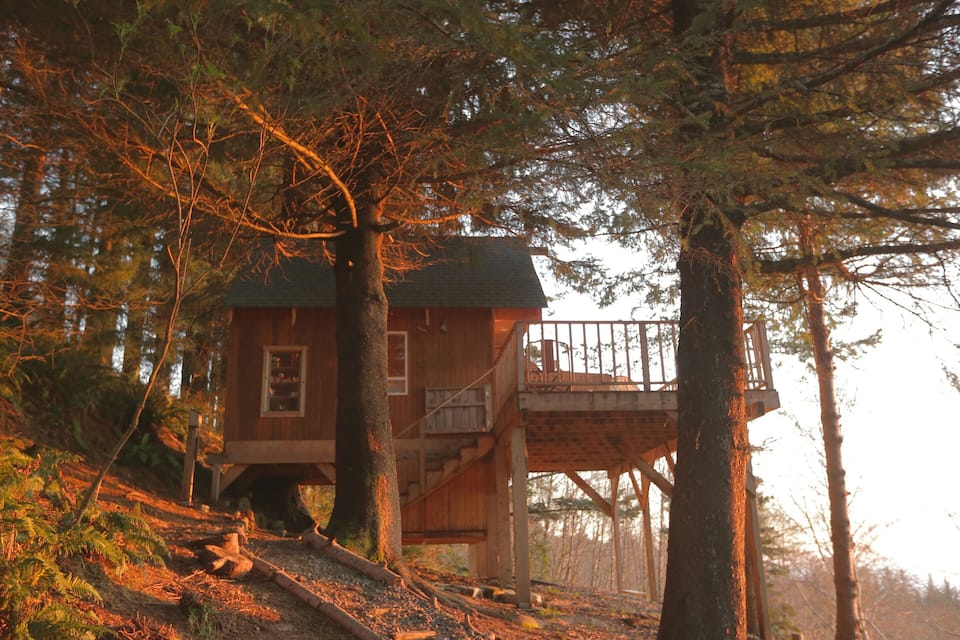 The Bluebird House