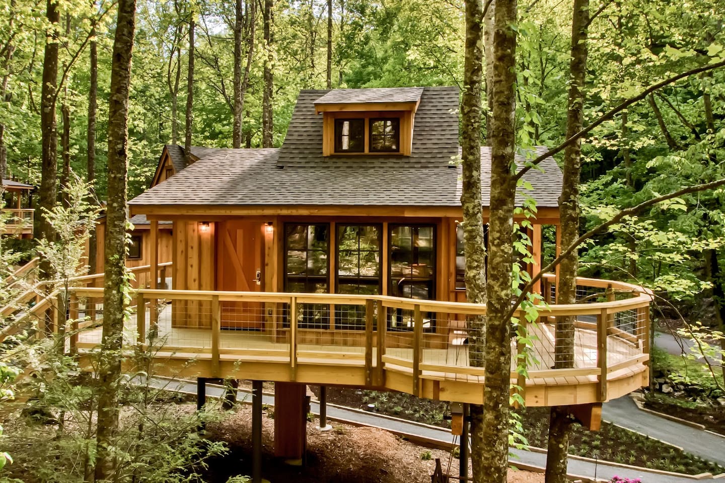 The Magnolia in Treehouse Grove at Norton Creek