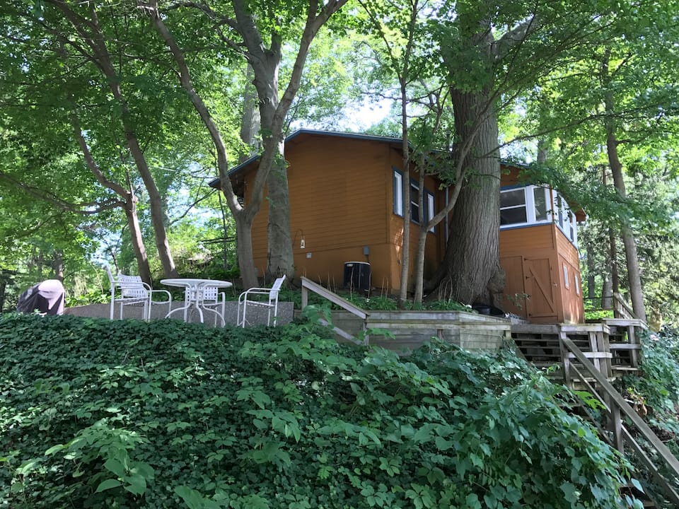 Tree House