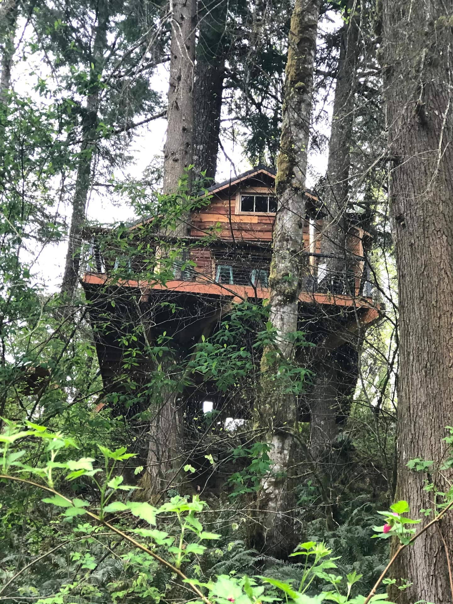 Treehouse Glamping Adventure in Sandy Oregon Airbnb