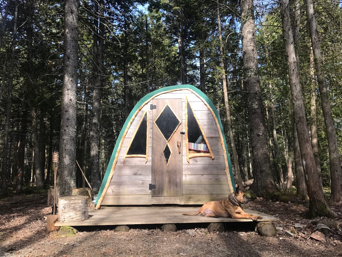 Coyote's Den at The Howling Woods