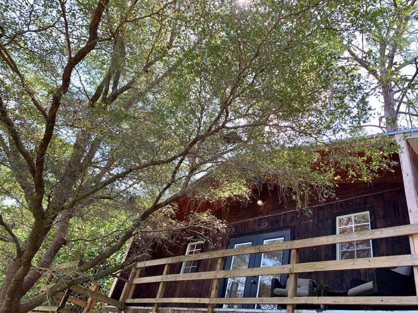 Luxurious Modern Treehouse with Mineral Pool