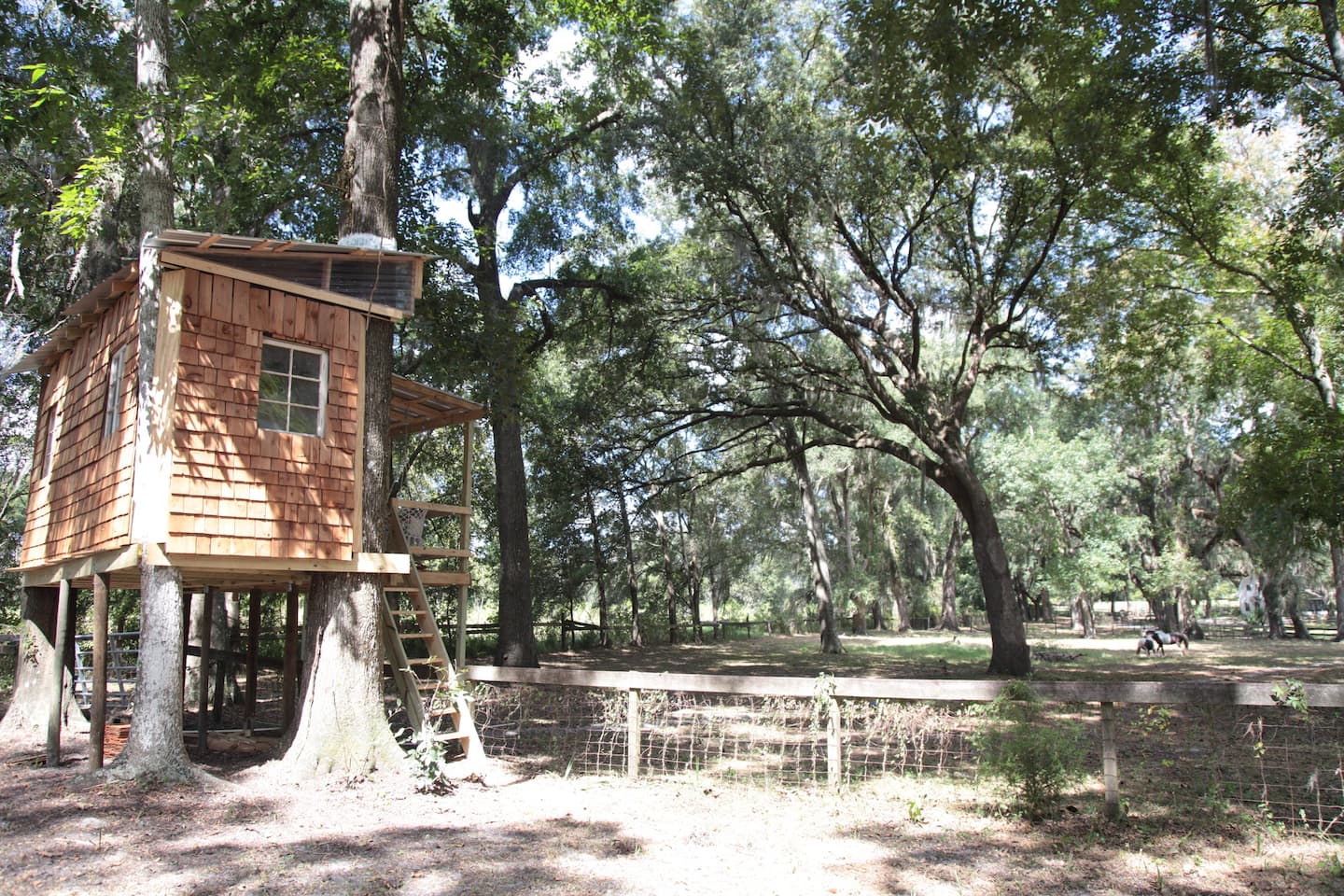 Stunning Farm Themed Treehouse