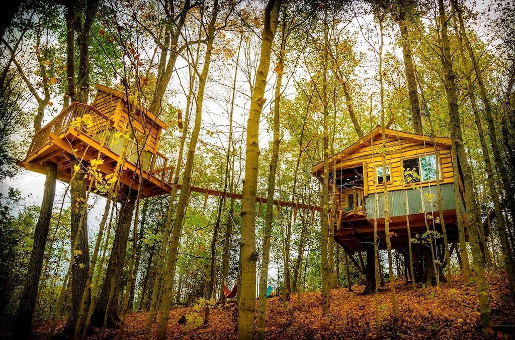 Treehouse Rentals in Kentucky
