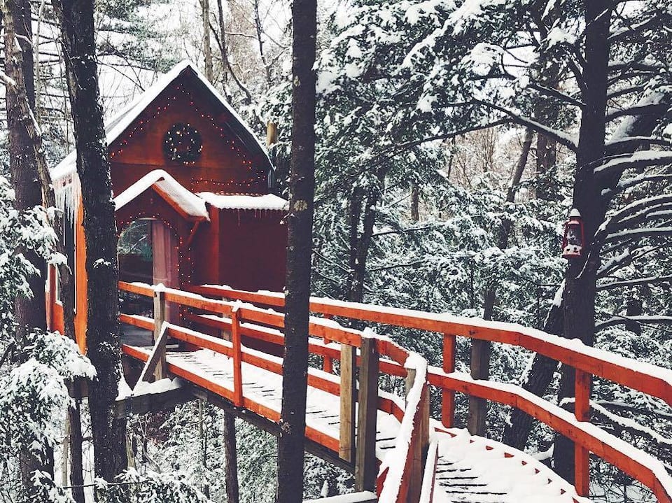 Treetop Sanctuary