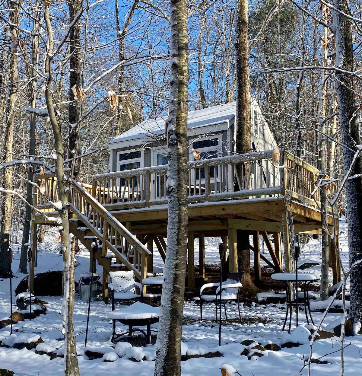 Water Forest Retreat- Tree House