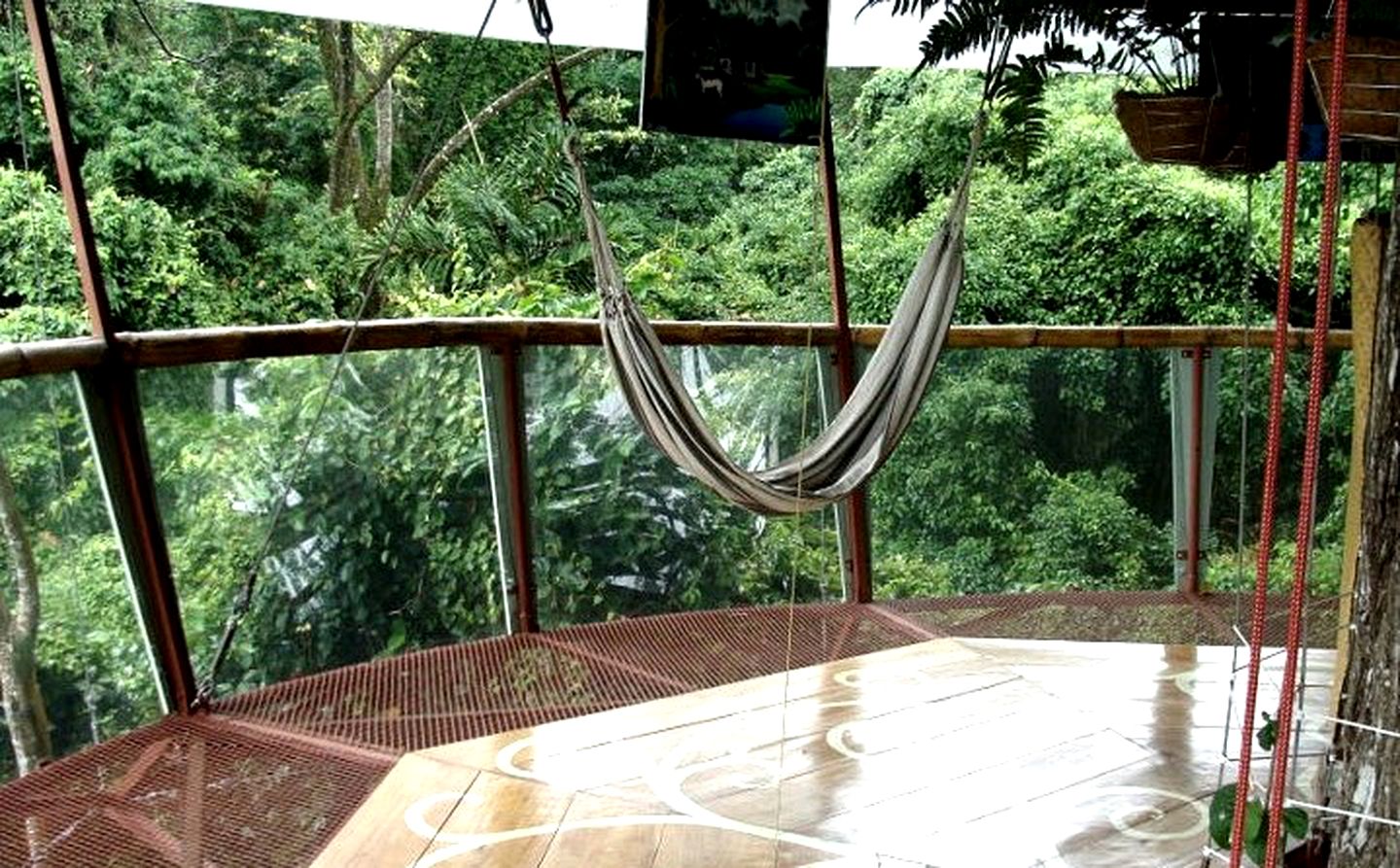 Amazing Tree House in the Gandoca-Manzanillo Rain Forest, Costa Rica