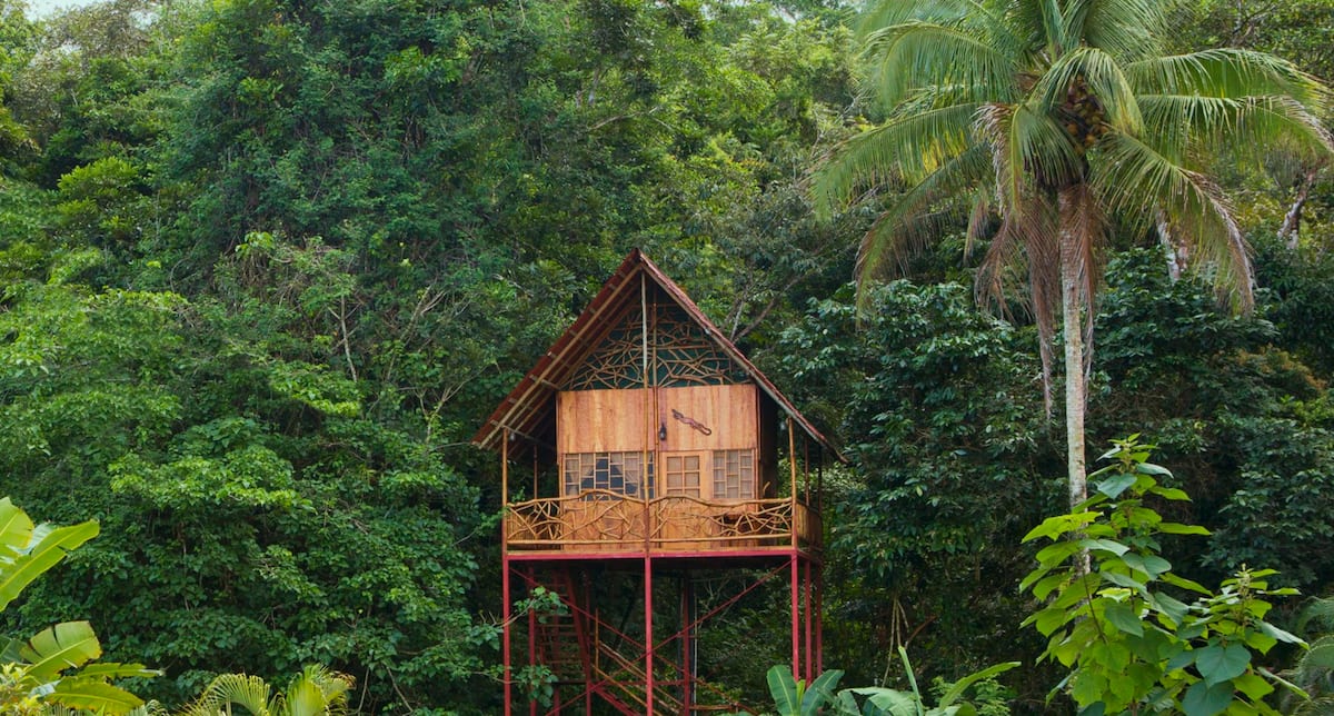 Costa Rica Rainforest Tree House with Hot Springs