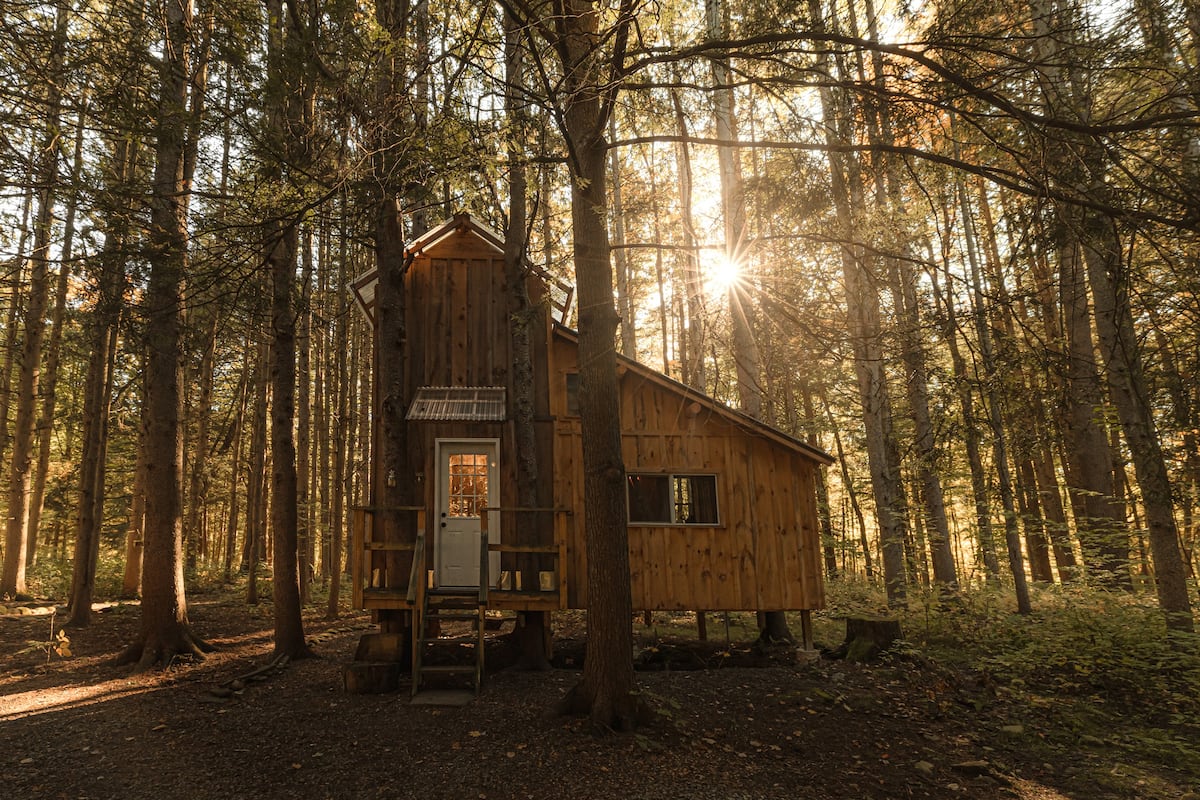 Goodall's Treehouse Cabin in New York