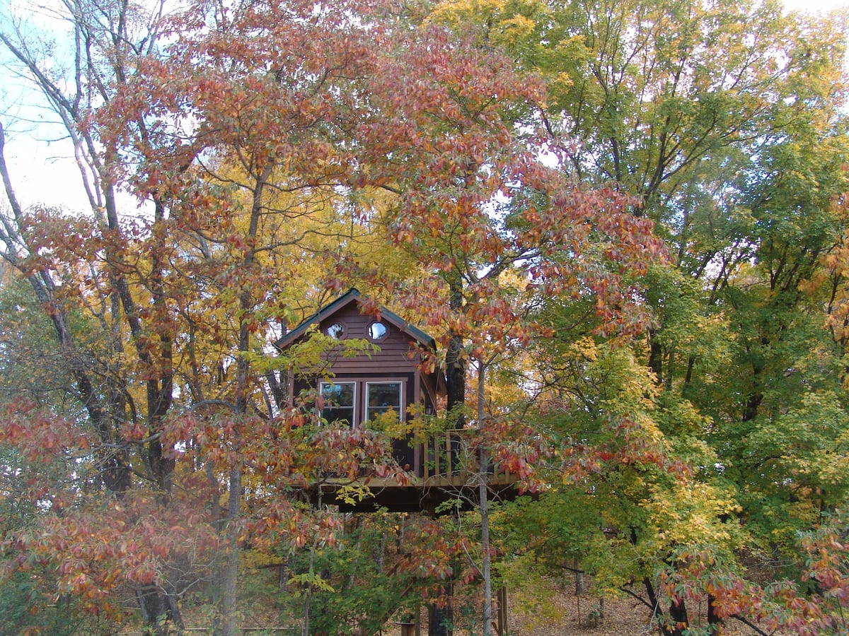 Maple Oak treehouse