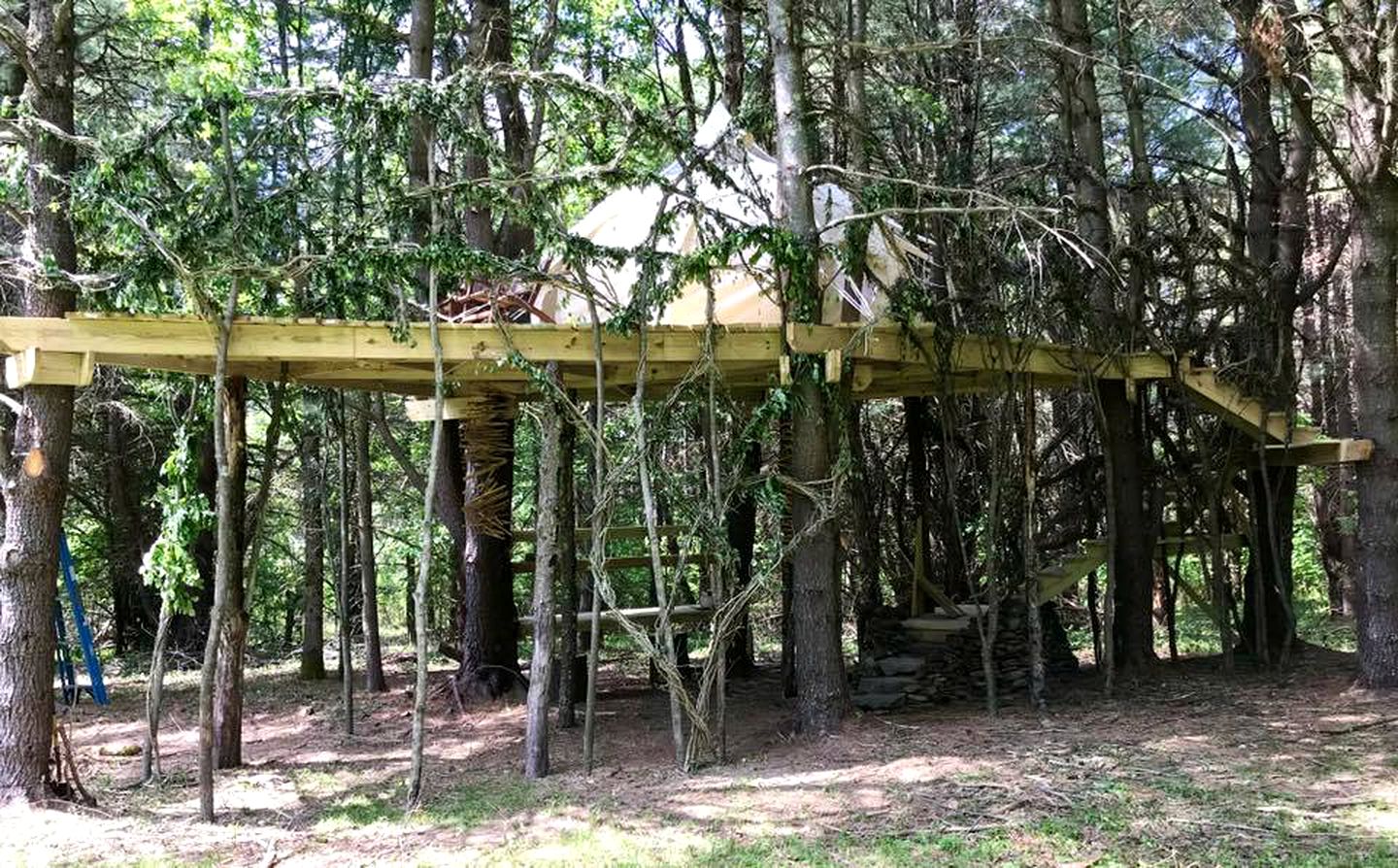 Rustic Tree House Rental Ideal for Glamping in Upstate New York
