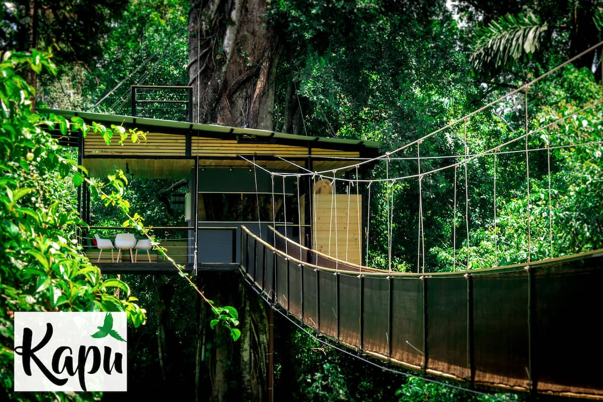 The Most Spectacular Tree House in Costa Rica