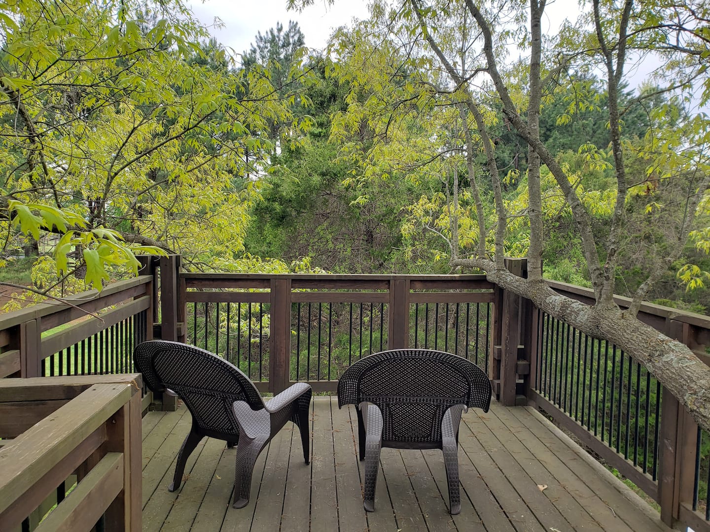 Treehouses in Arkansas