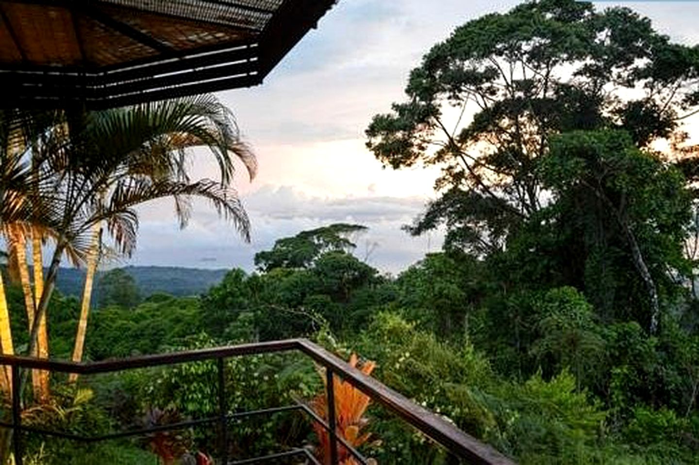 Upscale Tree House Cabin with Infinity Pool, Costa Rica