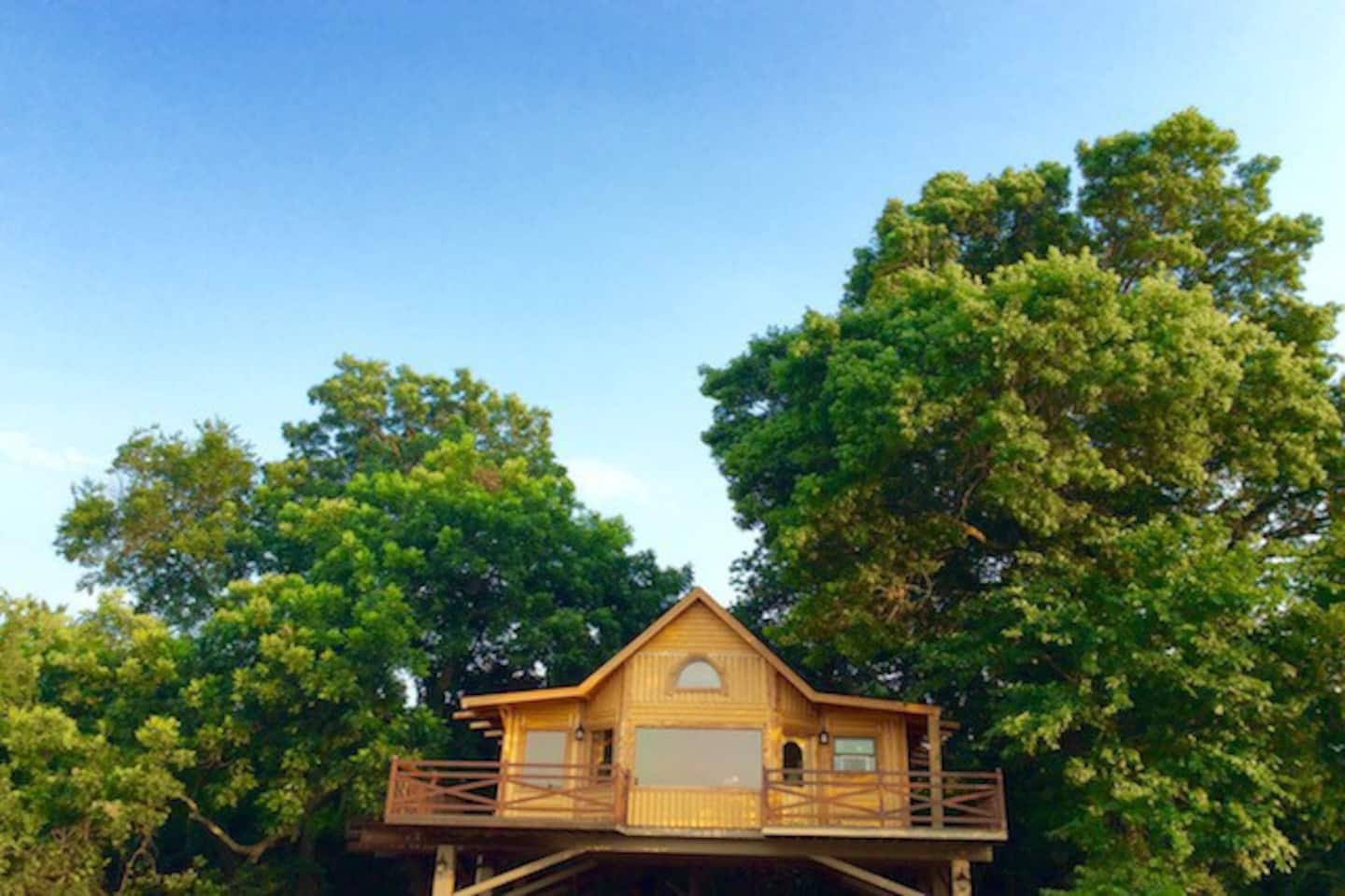 Bird's Nest Tree House Oklahoma Airbnb