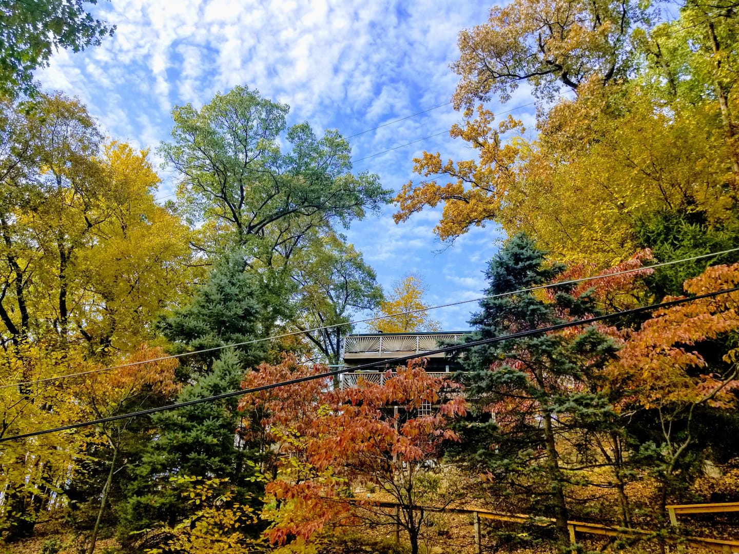 Cedar Lake Treehouse Airbnb New Jersey