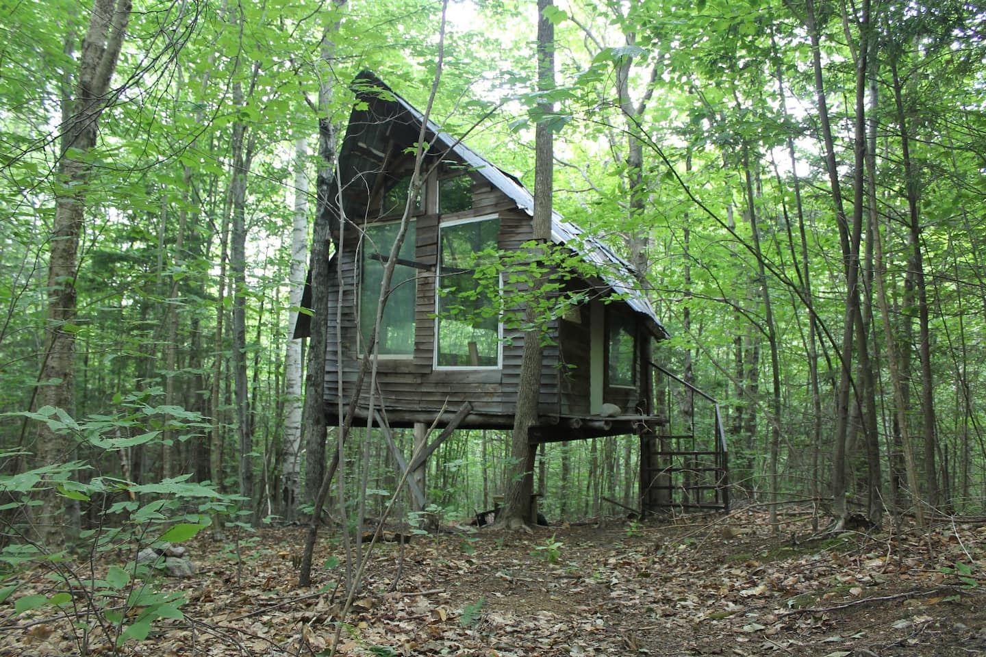 New Hampshire Treehouse - The Hostel at D Acres
