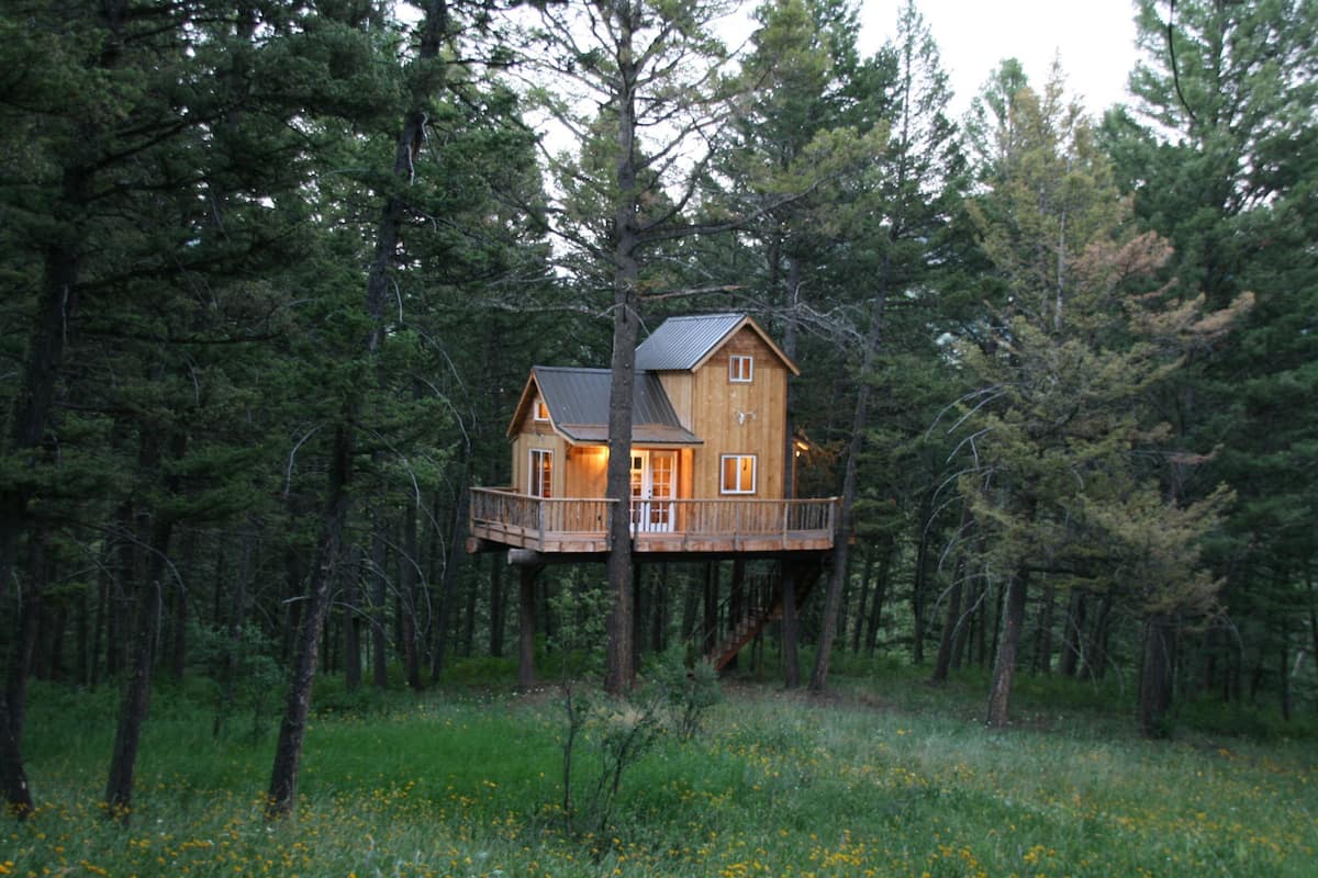 Papa's Treehouse Bozeman Montana