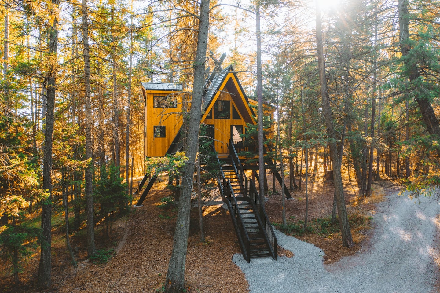 Raven's Nest - treehouse airbnb montana