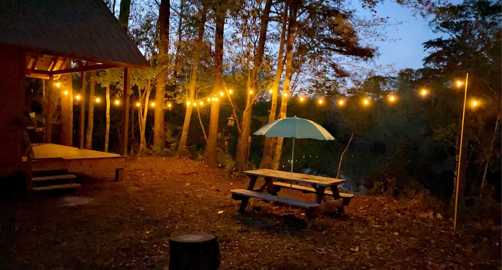 Secluded Cabin Near Creek