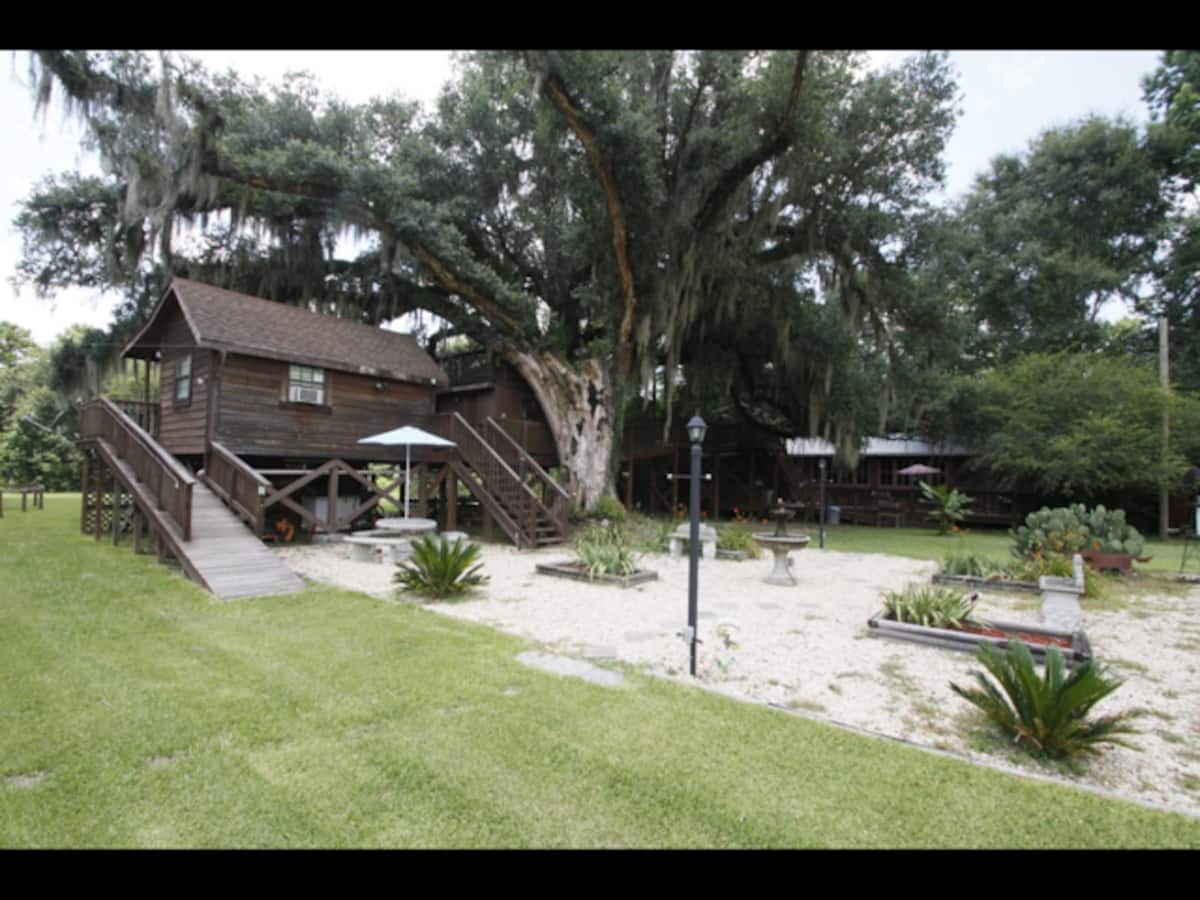 Swiss Family Robinson Treehouse