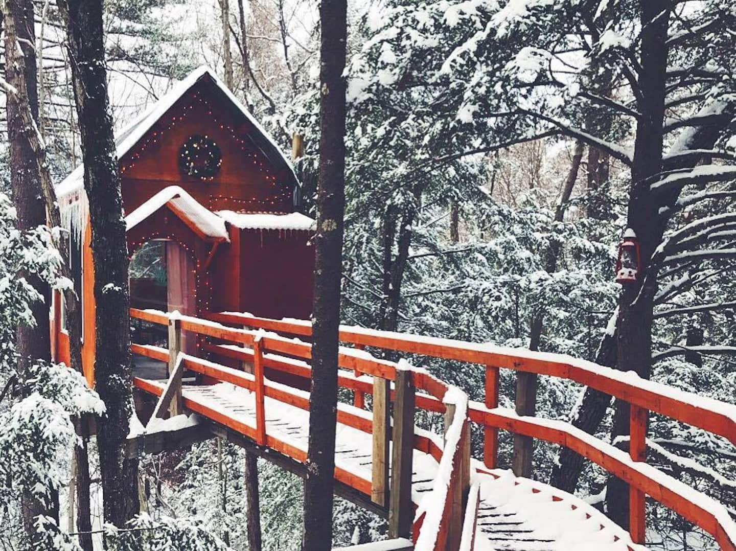 17 BEST Treehouse Rentals In New Hampshire | Treehouse Trippers