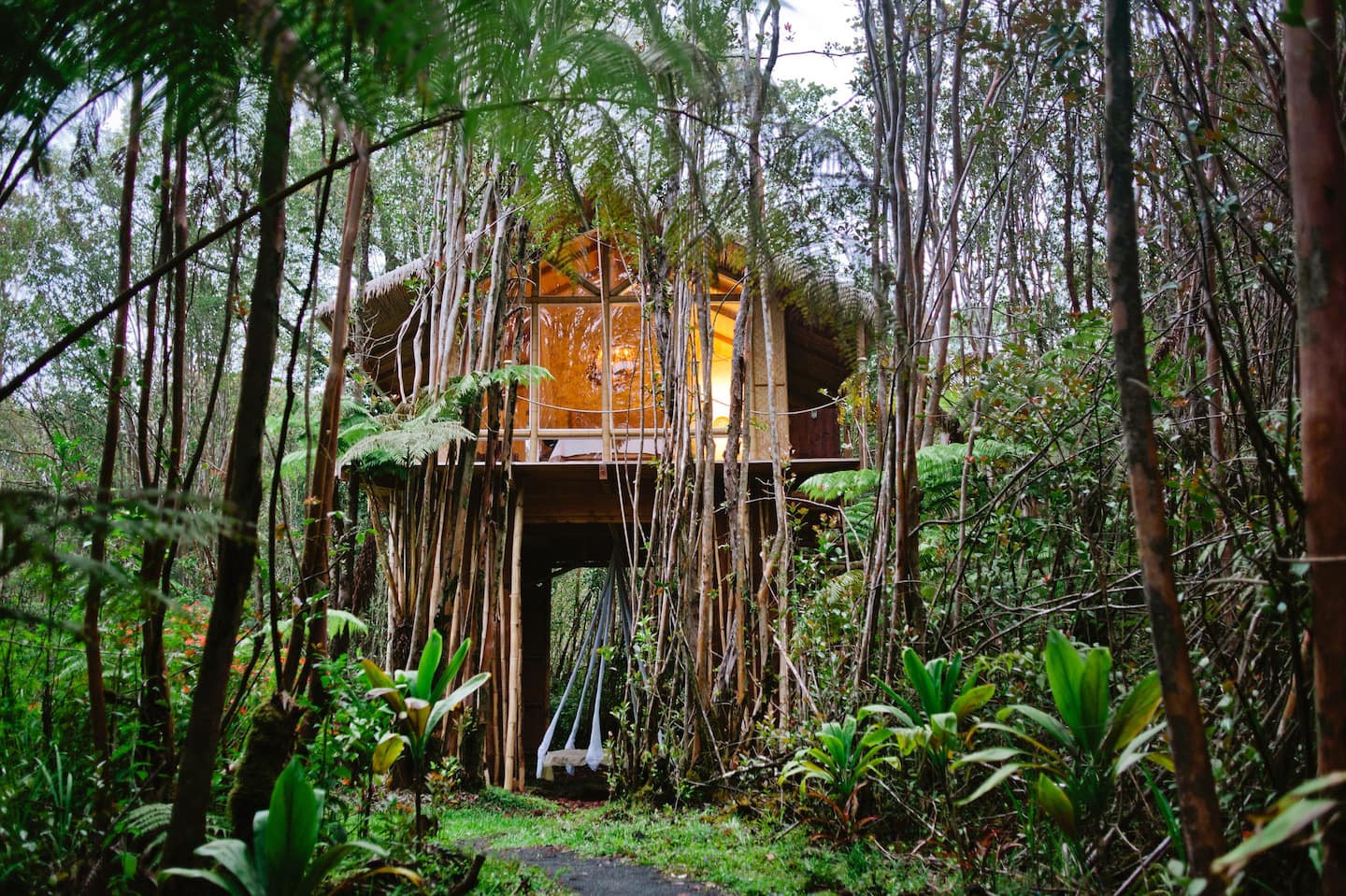 Dreamy Tropical Tree House Hawaii Airbnb