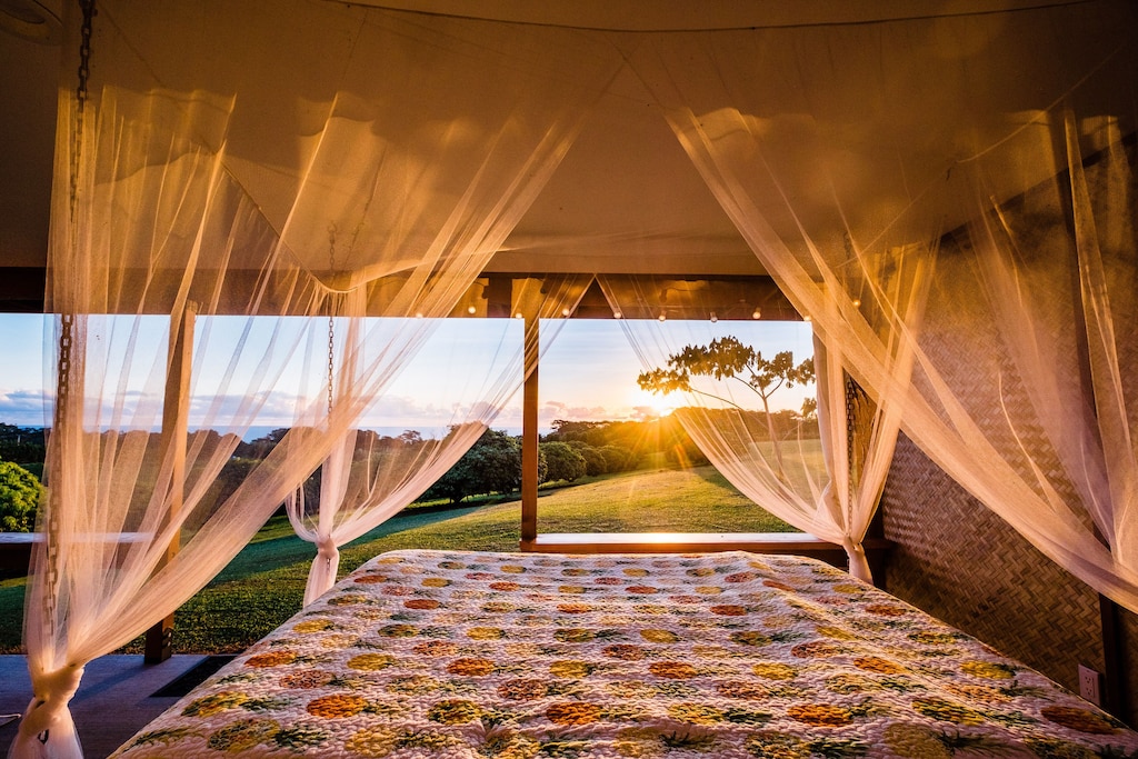 Hawaii Treehouse Rentals