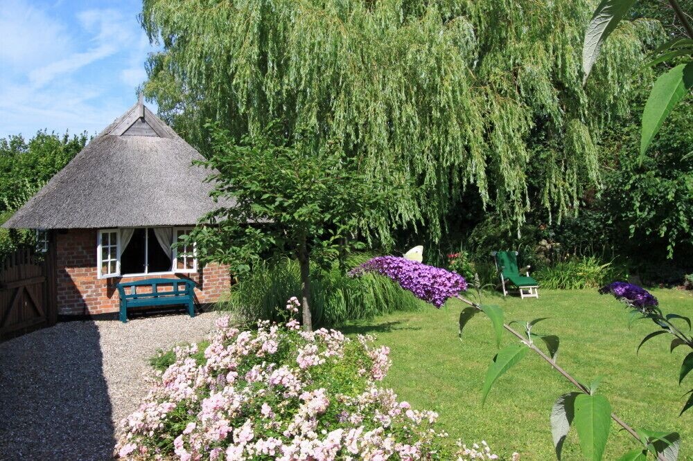 Treehouse Rentals in Germany close to beach
