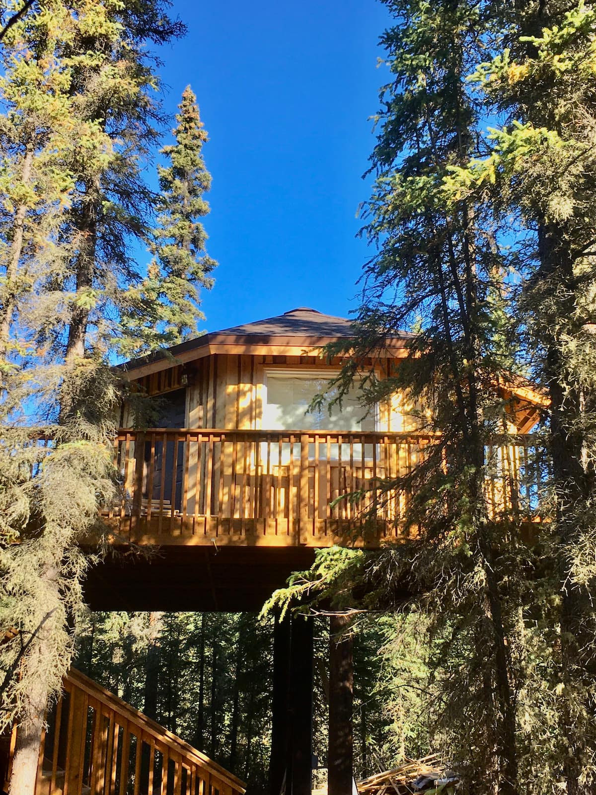 Alaska Treehouse Airbnb