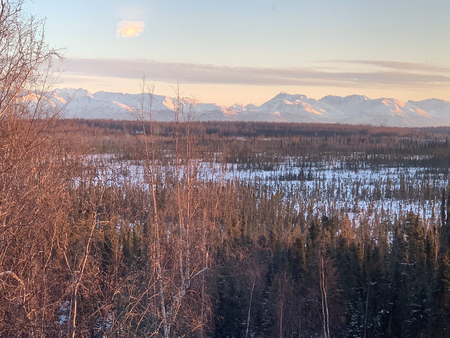 Alaska Treehouse with view Airbnb
