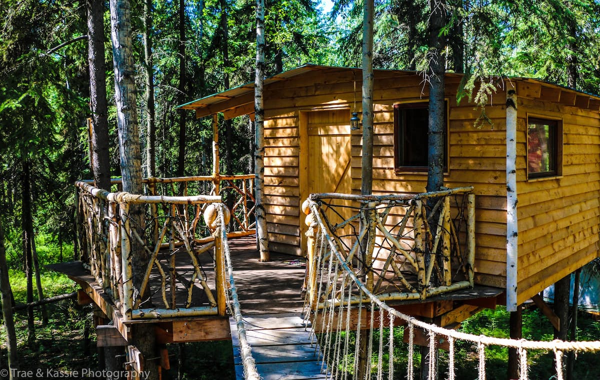 Indiana Jones Tree House Airbnb Alaska