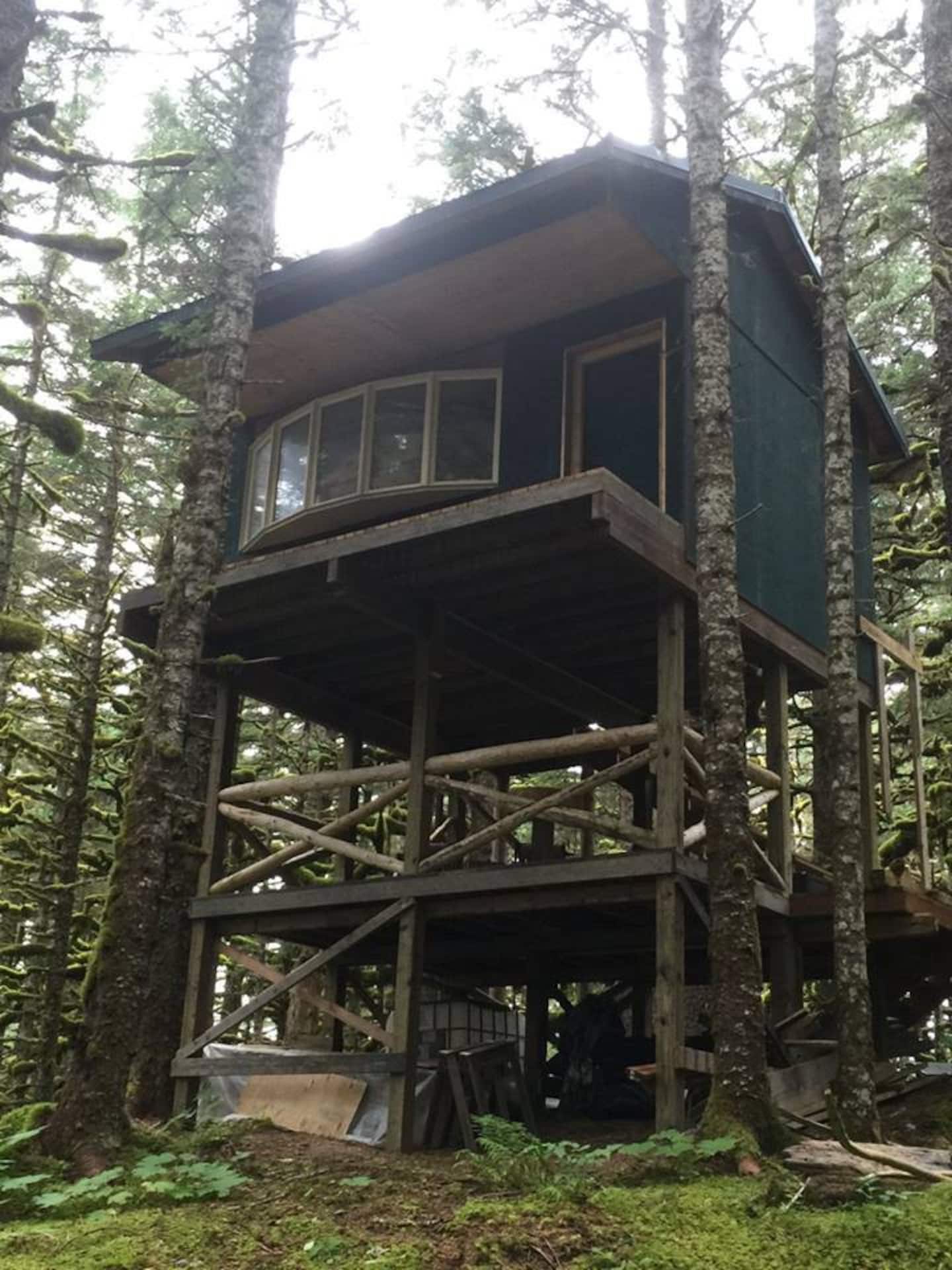 The Eagle's Nest — Whale Island Treehouse