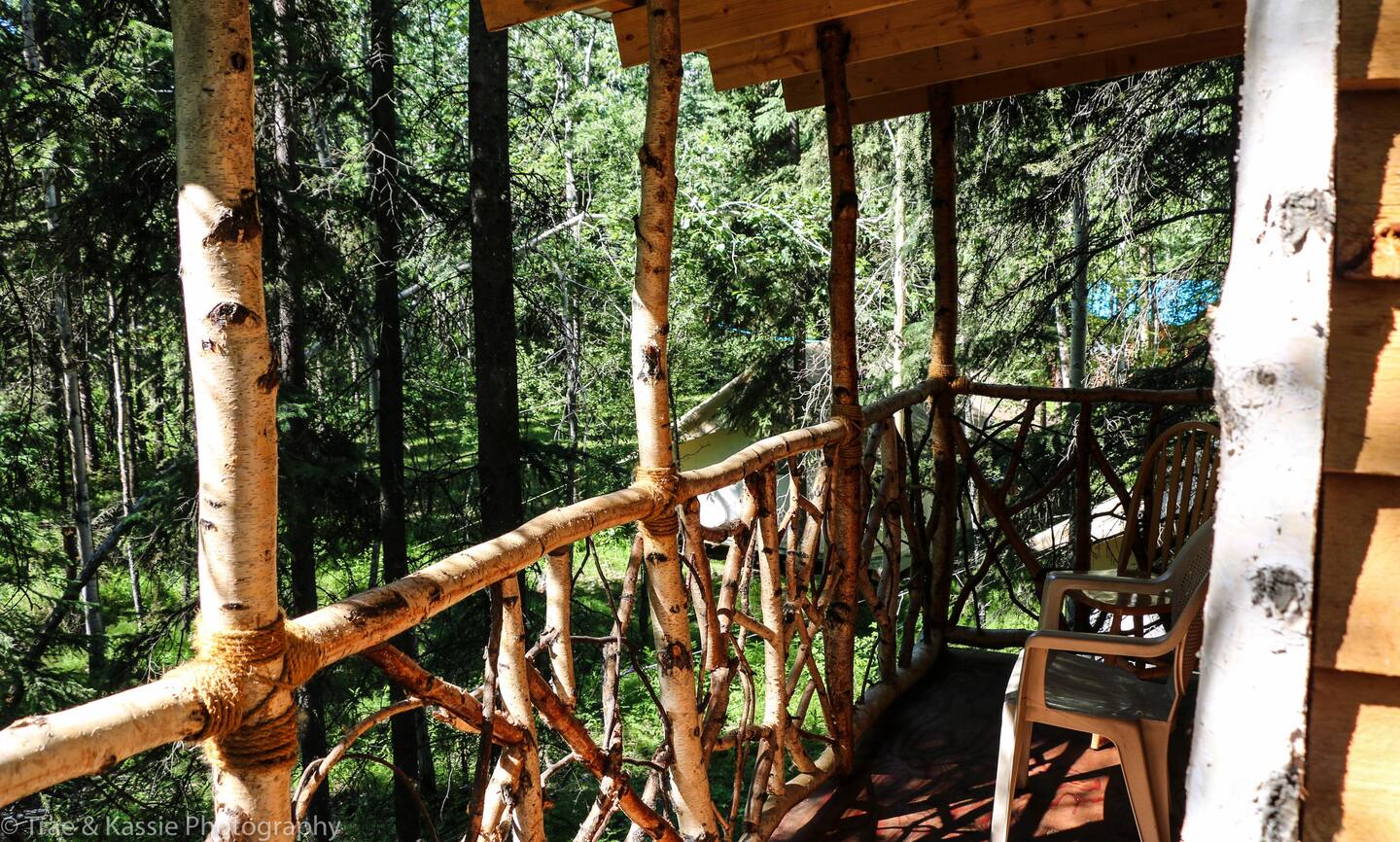 Treehouse in Alaska