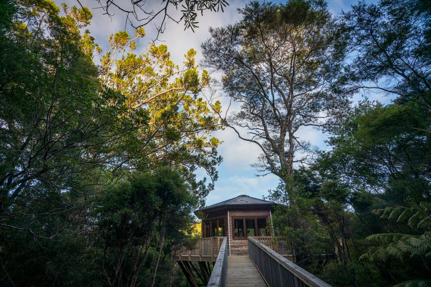 AWAY Treehouse - Airbnb New Zealand