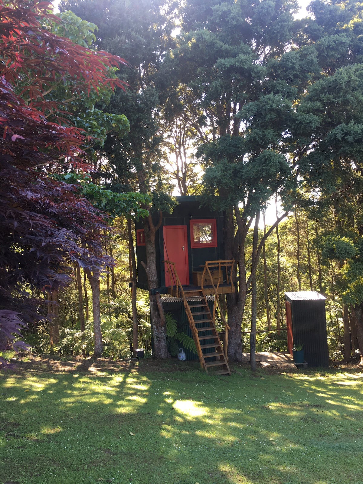 Beautiful little hut nestled amongst the trees
