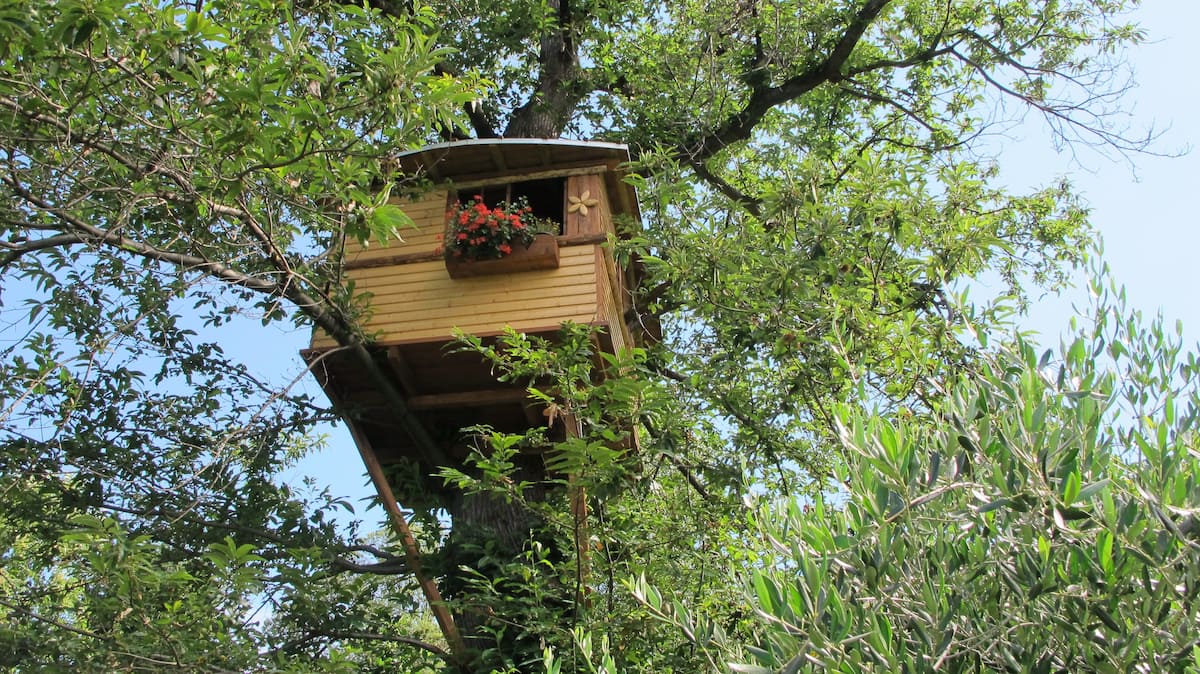 Chestnuttree Treehouse