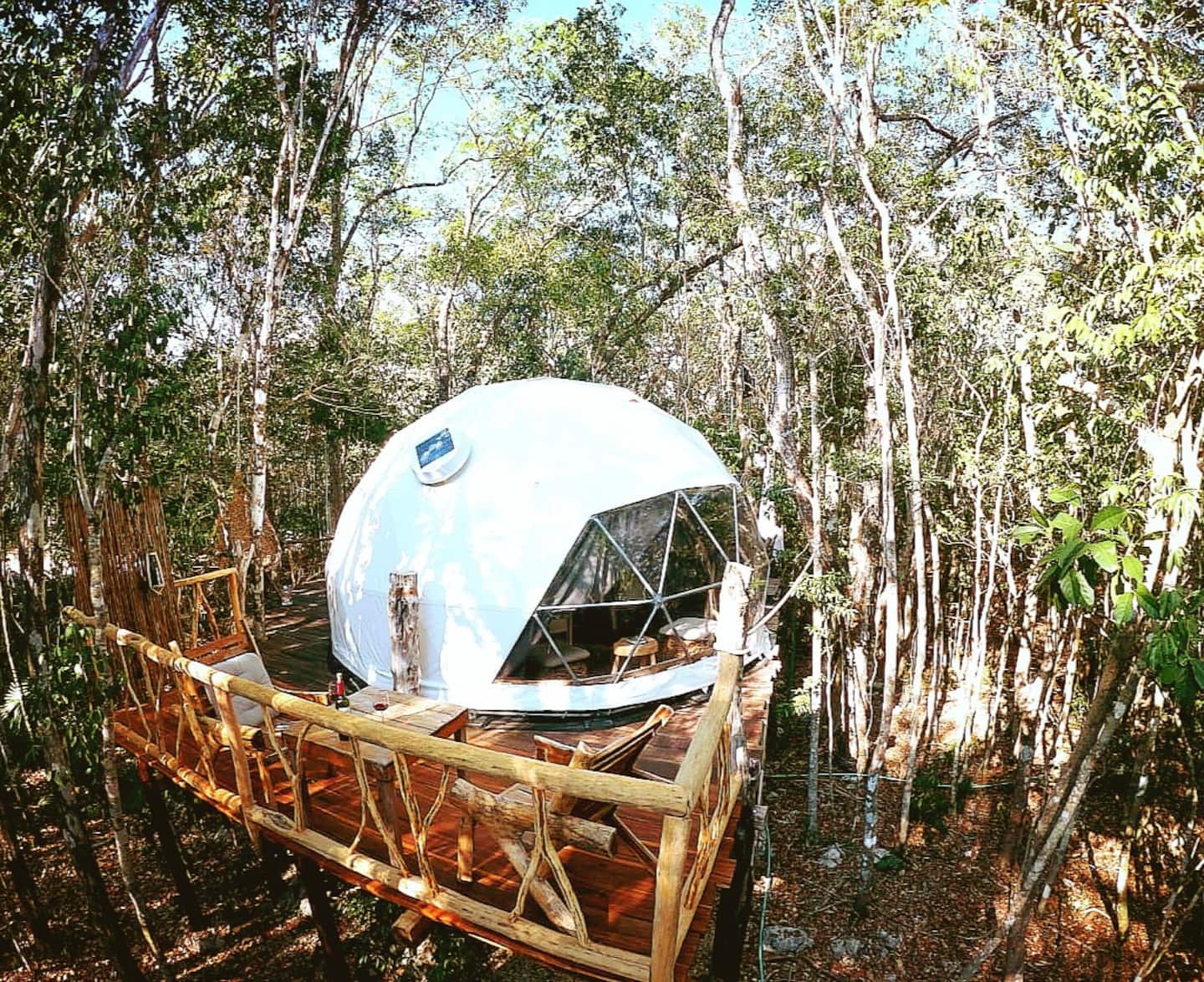 Jungle Eco Tree House in Mexico Airbnb