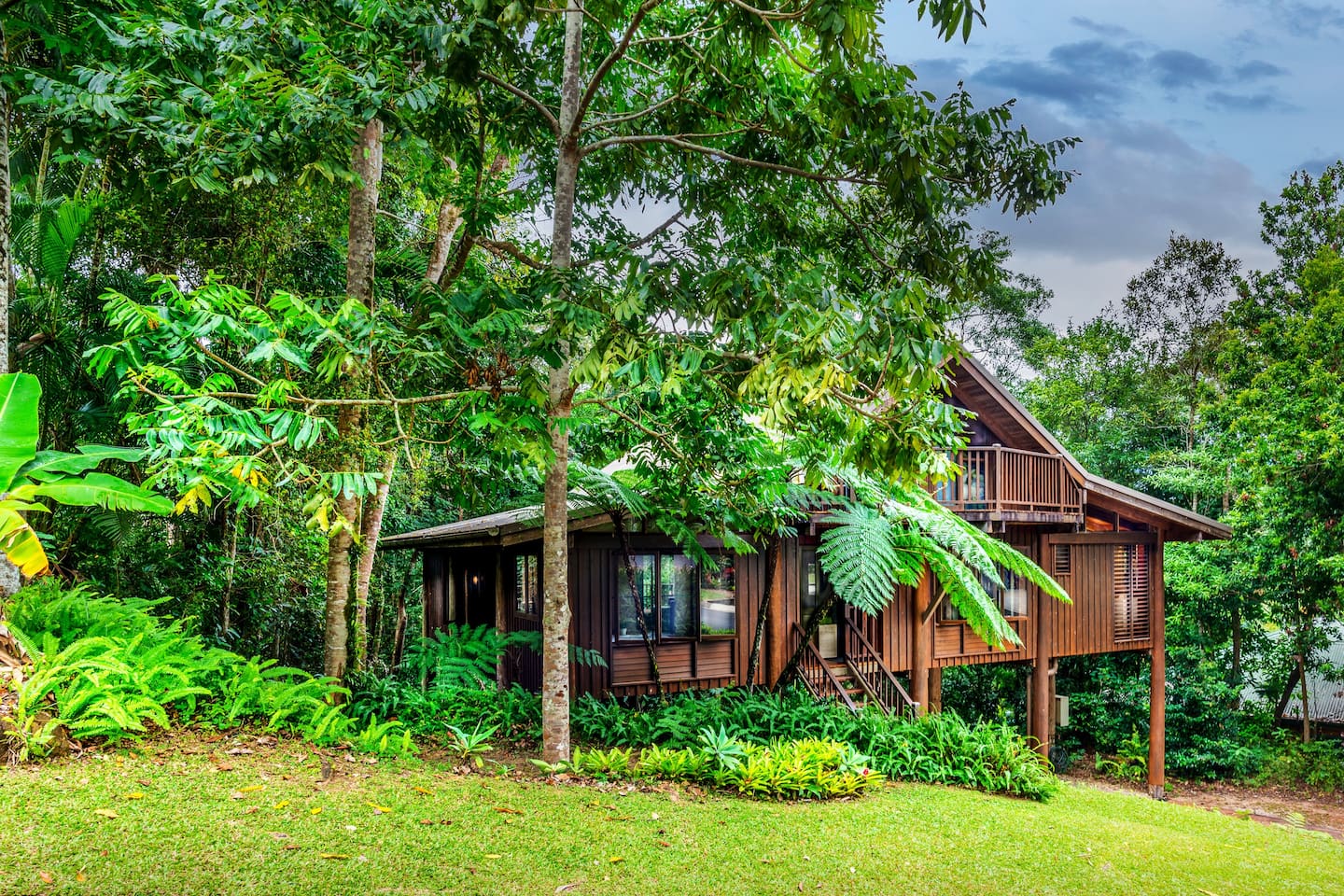 Kardinia House - Treehouse Rainforest Retreat