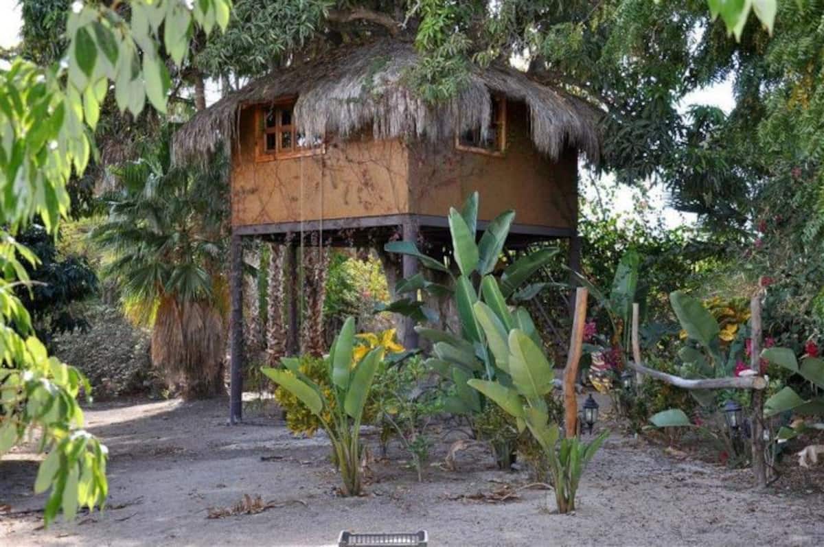 Rancho Danza Treehouse Mexico
