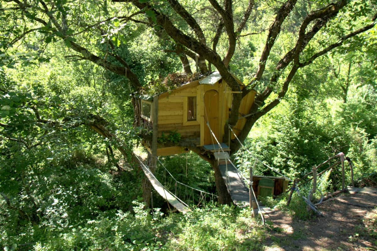 Real Tree Cabin in Italy